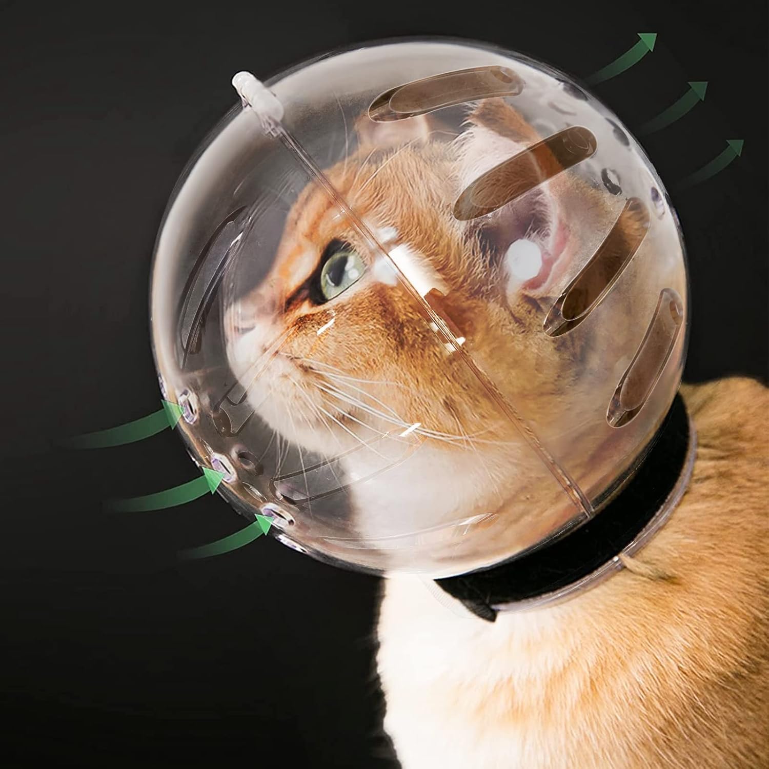 Cat Muzzle and Helmet Set –Transparent Breathable Adjustable Hood & Paw Covers – Anti-Bite, Grooming, Bathing, Nail Trimming, Protective Cat Helmet for Aggressive Cats-XL-Xian