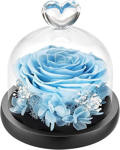 DuHouse Forever Roses - Caja de flores reales preservadas, para regalo de San Valentín, cumpleaños, aniversario, Navidad (azul cielo)