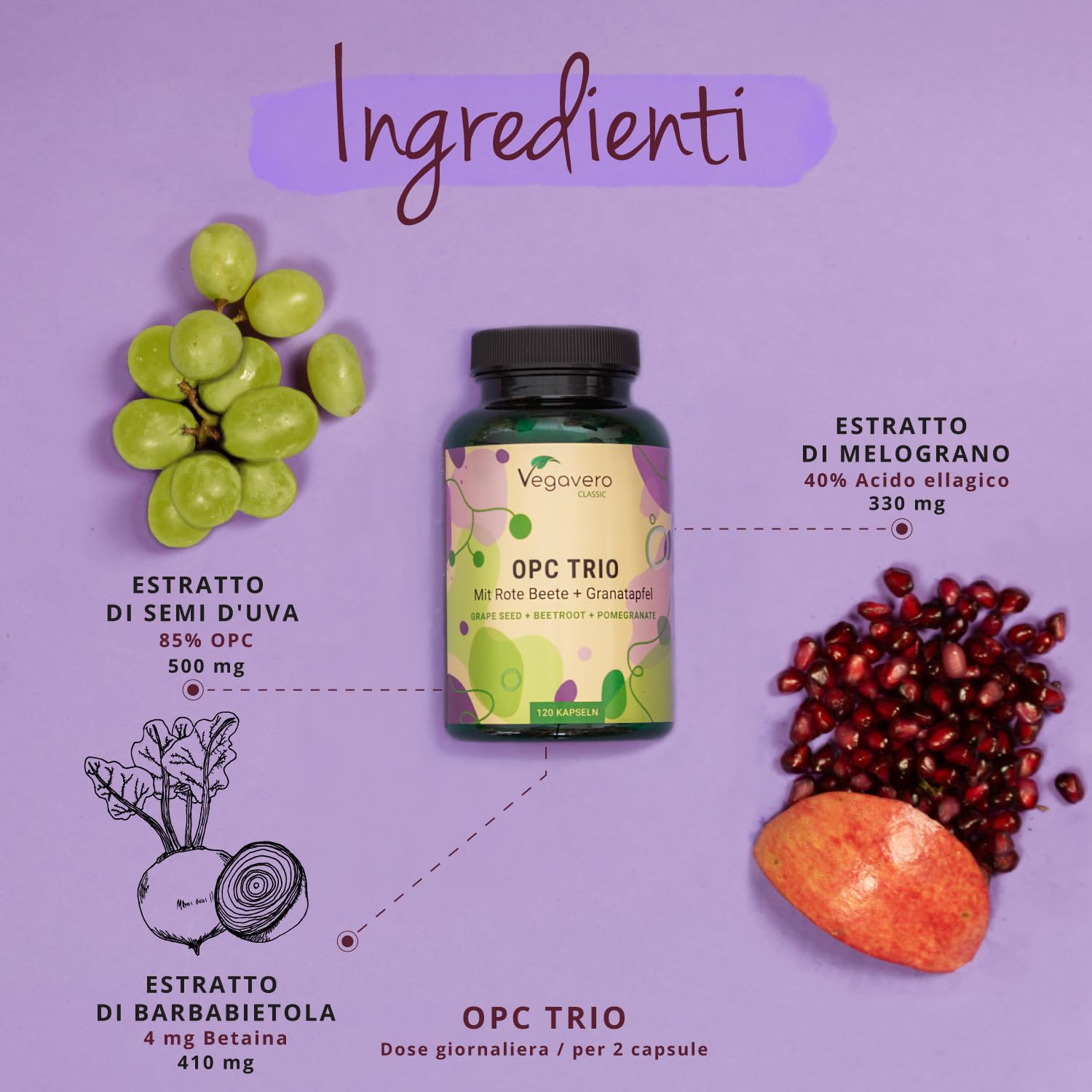 Integratore OPC | 12.000 mg di Estratto di Semi d’uva | Antiossidante Naturale per Circolazione | Proantocianidina Oligomerica > 85% | Puro da uva italiana | Vegan | No Additivi | Vegavero®