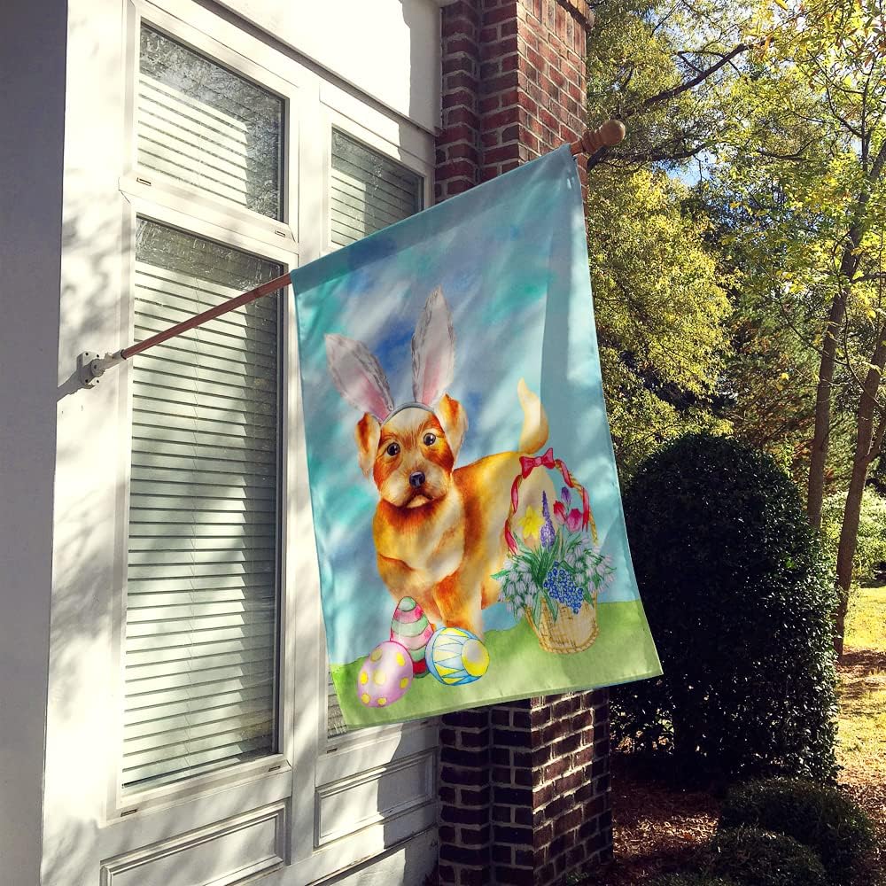 Caroline's Treasures CK1376CHF Norfolk Terrier Easter Bunny House Flag Large Porch Sleeve Pole Decorative Outside Yard Banner Artwork Wall Hanging, Polyester, House Size, Multicolor