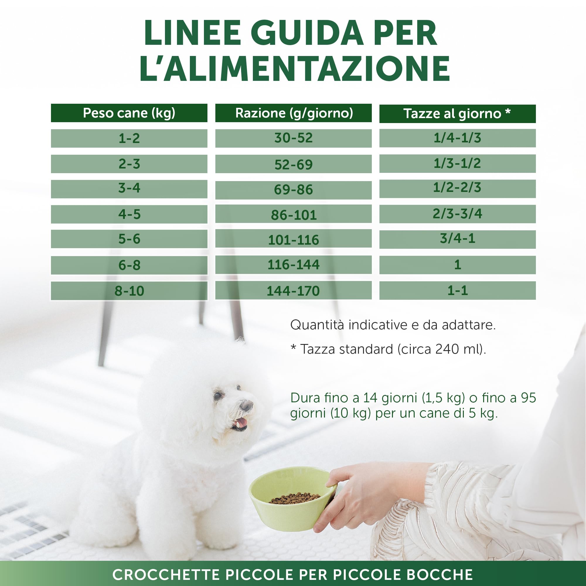 Nature's Protection Superior Care Cibo secco per cani adulti, Salmone 10 kg | Antimacchia lacrimale, manto bianco brillante, Senza cereali, Crocchette piccole, Manti bianchi/chiari, Razze piccole
