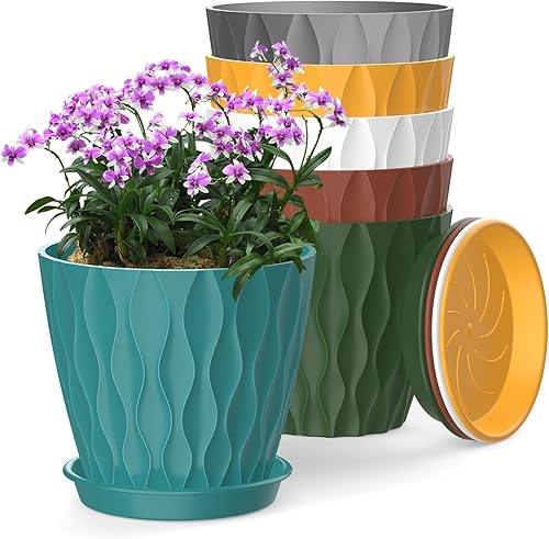 Macetas de 6 pulgadas, paquete de 6 macetas de interior, macetas con agujeros de drenaje y bandejas para orquídeas, violetas, suculentas, hierbas y