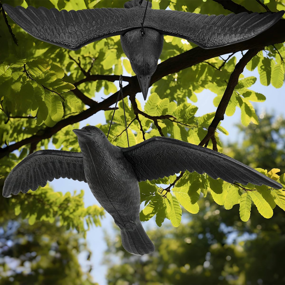 2 Schwarz Raben Attrappe, krähenattrappe Taubenschreck Rabe, Plastik Raben zur Abschreckung krähenschreck zum Aufhängen, Vogelschreck Fliegende Krähe, Balkon & Garten