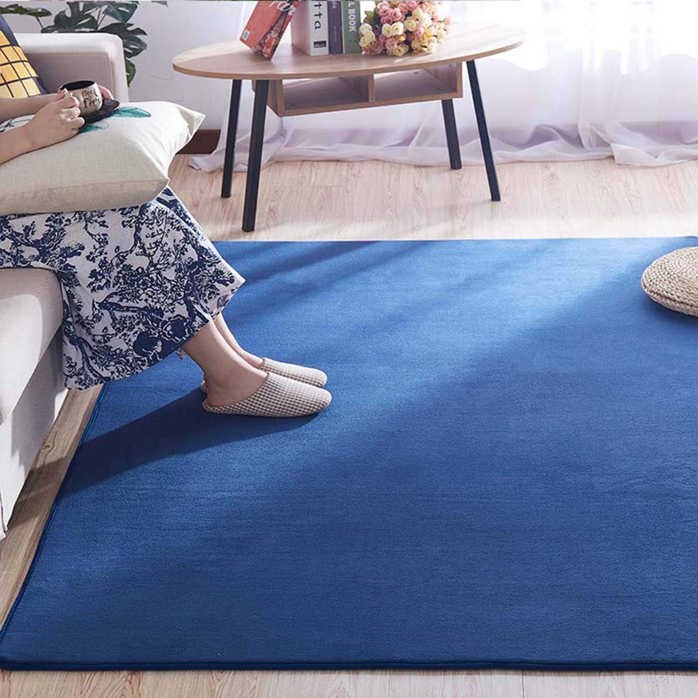 ラグ カーペット ラグマット 160×230cm ホットカーペット対応 160×230 ラグ ホットカーペット対応」の人気商品一覧 | 安い商品を通販