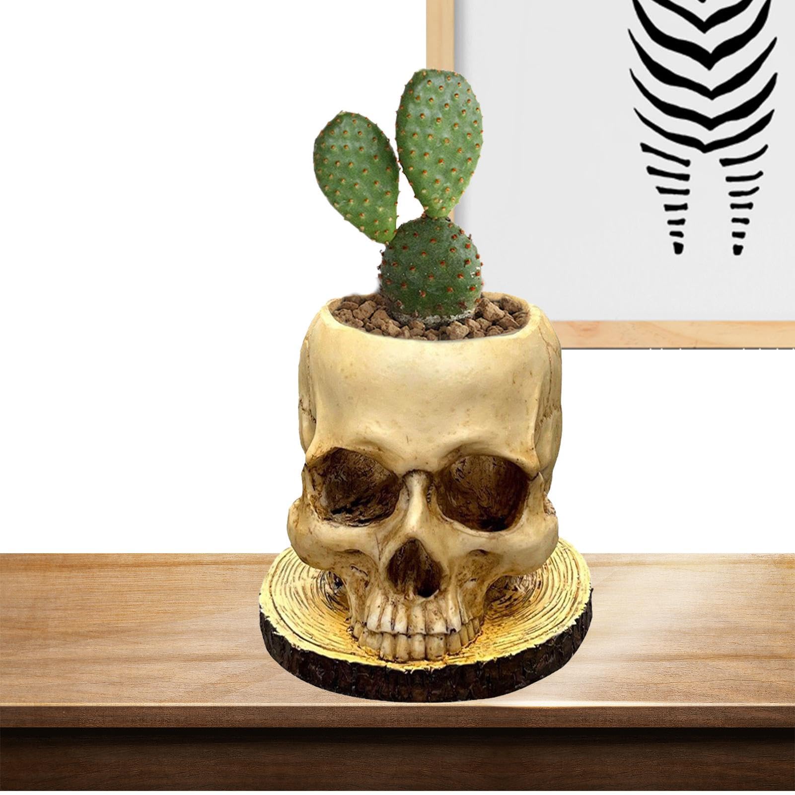 Skull Planter, Skull Planter | Skull Succulent Pots Weatherproof Gothic Vase Resin | Skull Decoration, Table Decoration, Horror Planter, Home Decoration for Living Room, Fen