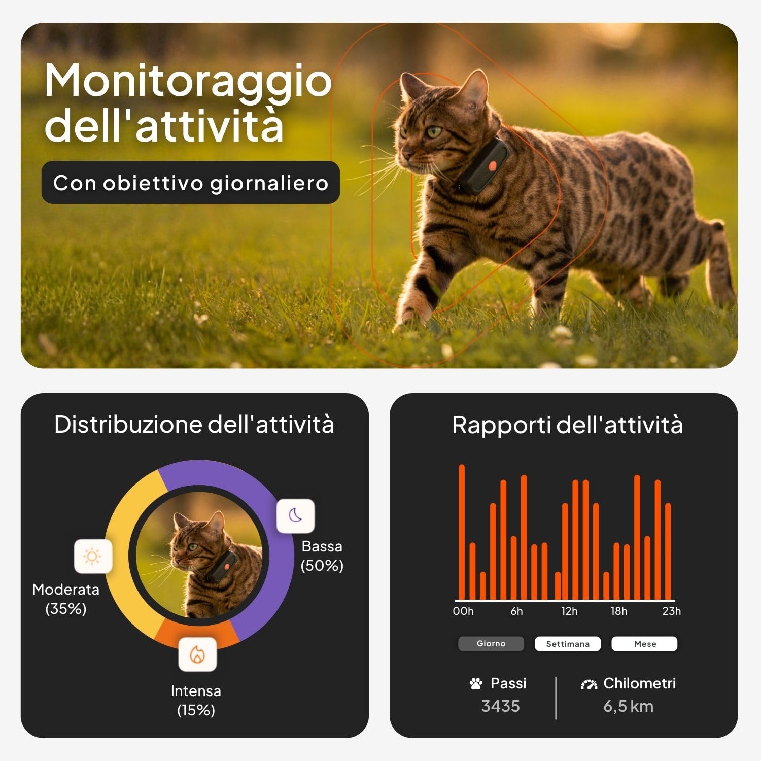 Weenect Cat XS - NUOVO collare GPS per gatti | Il più piccolo sul mercato | Funziona con abbonamento | Collare incluso | Garanzia a vita