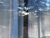 Review Image by Davis