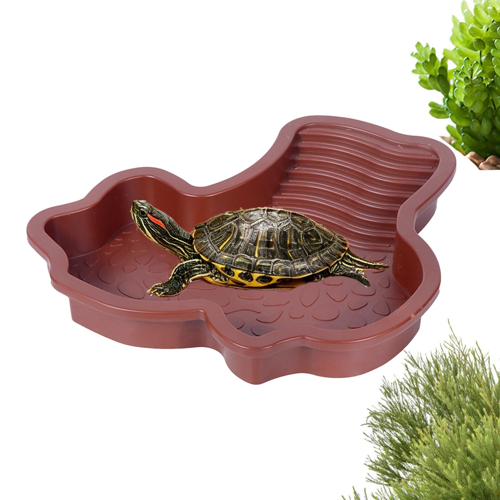 Vaschetta Vasca per Tartarughe di Terra con Rampa‌,Vasca Piscina Vaschetta da Bagno per Tartarughe d'acqua, Laghetto Terrario Ciotola Accessori (#01) - 2