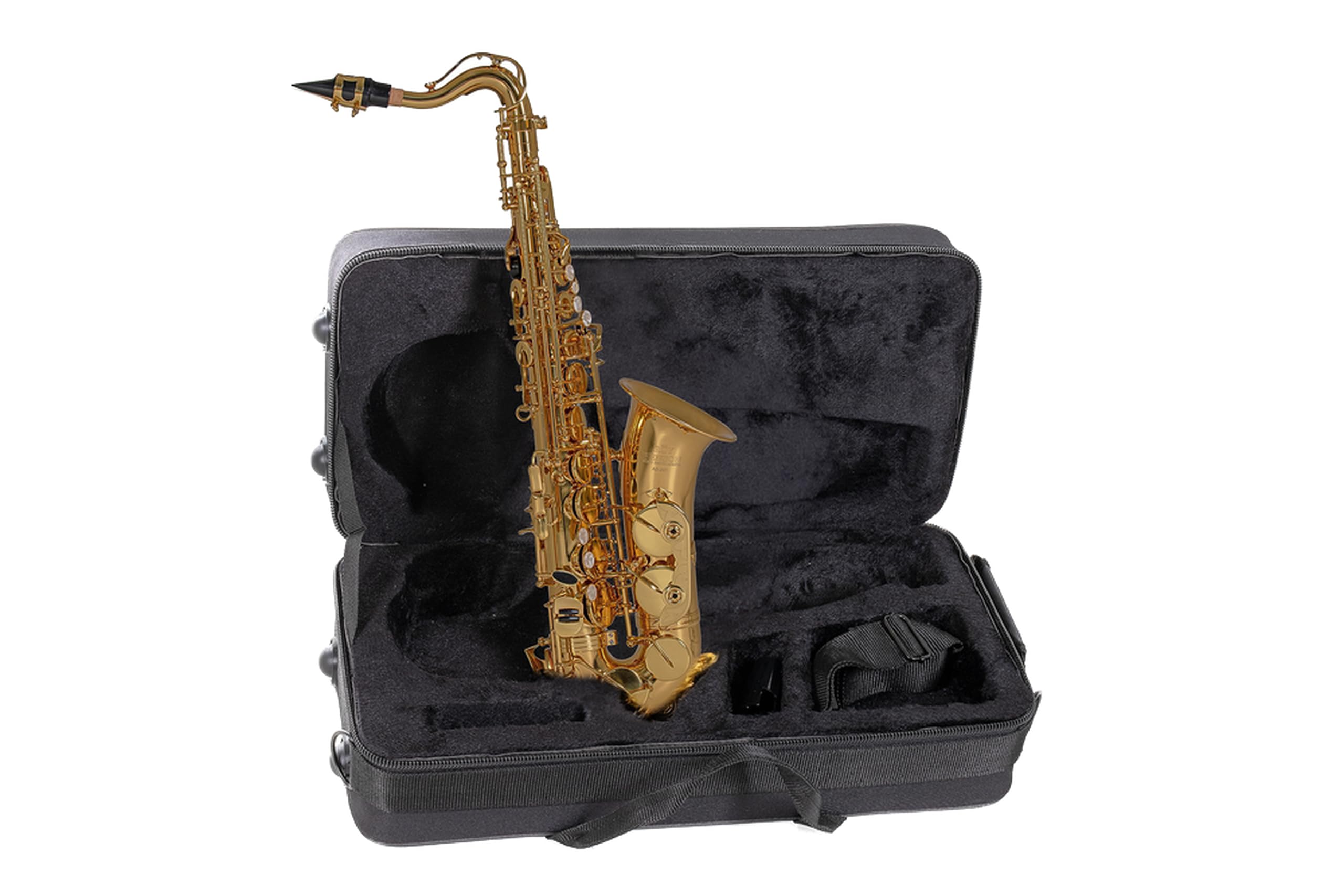 Roy Benson Eb-Alt Kinder Saxophon AS-201 (Speziell für Kinder entworfen, inklusive Putztuch, mit Harness-Tragegurt, im leichten Rechtecketui, mit Rucksackgarnitur)