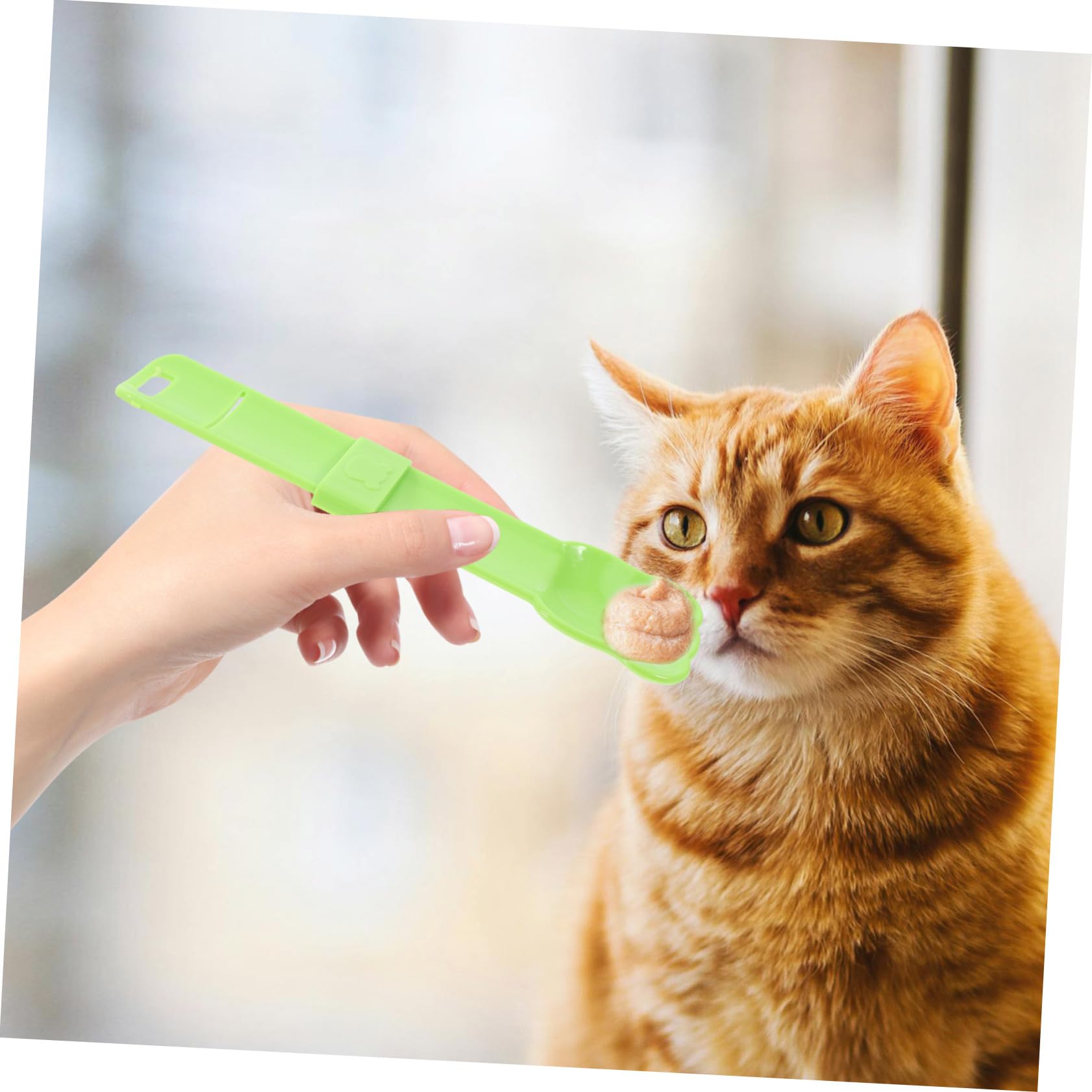 Cucchiaio Per Cibo Per Gatti Distributore Di Cibo Umido Spatola Per Gatti Paletta Per Strisce