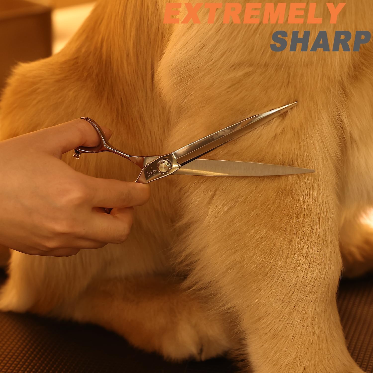 High-end Professional Dog Grooming Scissors Pet Grooming Shears 7.5 Inches Extremely Very Sharp Made Of Stainless Steel Alloy By Hand For Dog Cat Groomer (Shears, 7.5 Inch)
