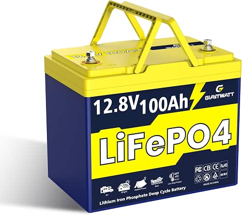 12V 100Ah LiFePO4 Battery with Low-Temp Protection, Lithium Battery Built
