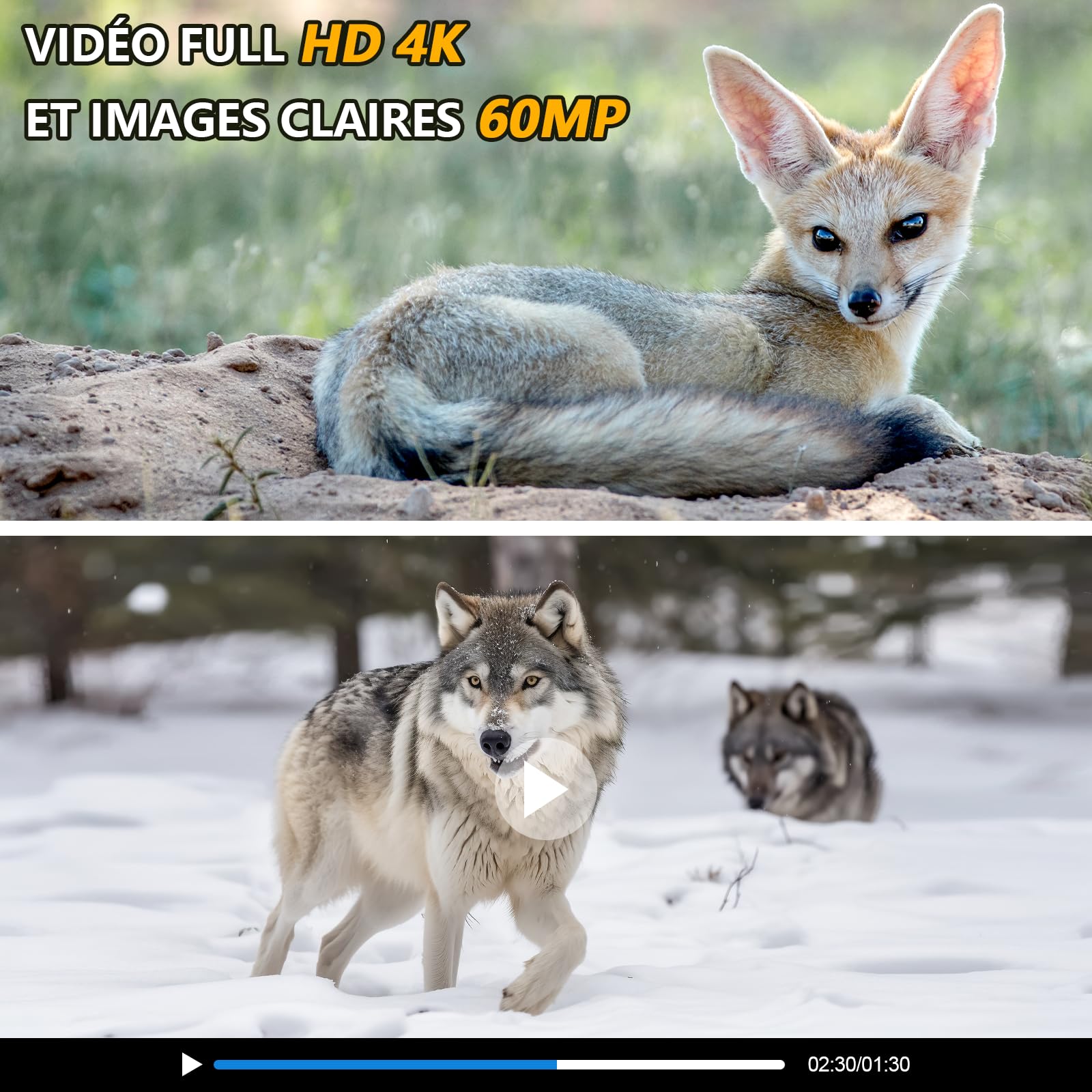 Caméra de Chasse 4K 60MP Camera Chasse WiFi, Piege Photographique avec Carte SD 32GB Caméra Infrarouge Vision Nocturne Animaux Étanche IP66 Camera Suiveuse Exterieur