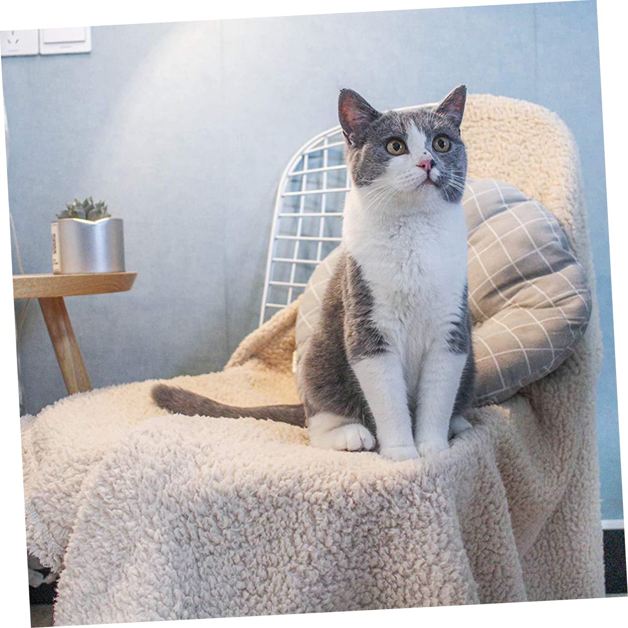 HEMOTON Manta para Gatos De Felpa Extra Alfombra para Mascotas Cómoda Cojín para Dormir para Dormitorio De Gato