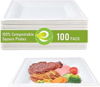 100 Pack Disposable Paper Plates 10 Inch, 100% Compostable Square Paper Dinner Plate Made of Sugarcane Fiber, Heavy Duty Plate for Party, BBQ (Microwave Safe)