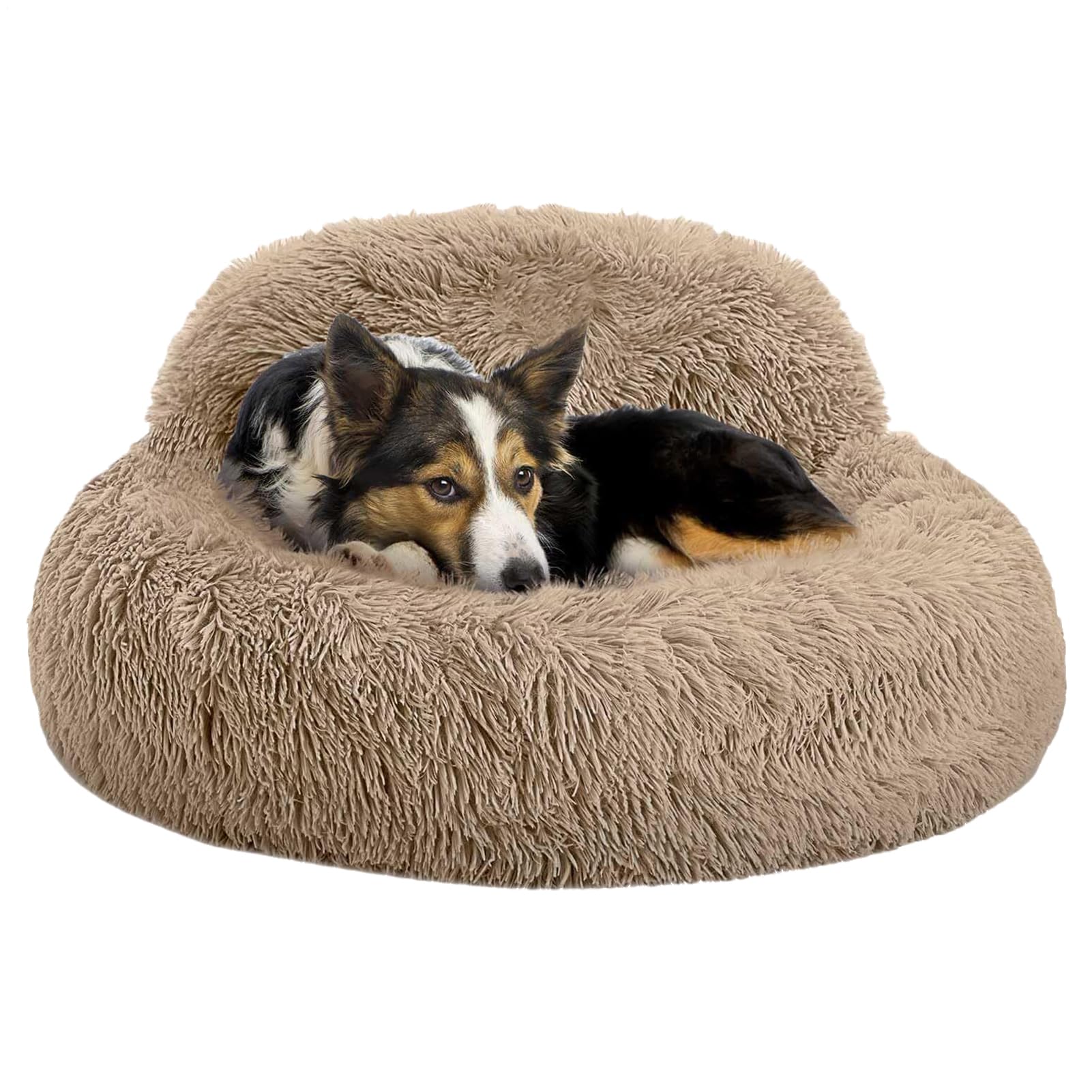 Coussin calmant pour chien enveloppant, panier rond protecteur pour des nuits sereines