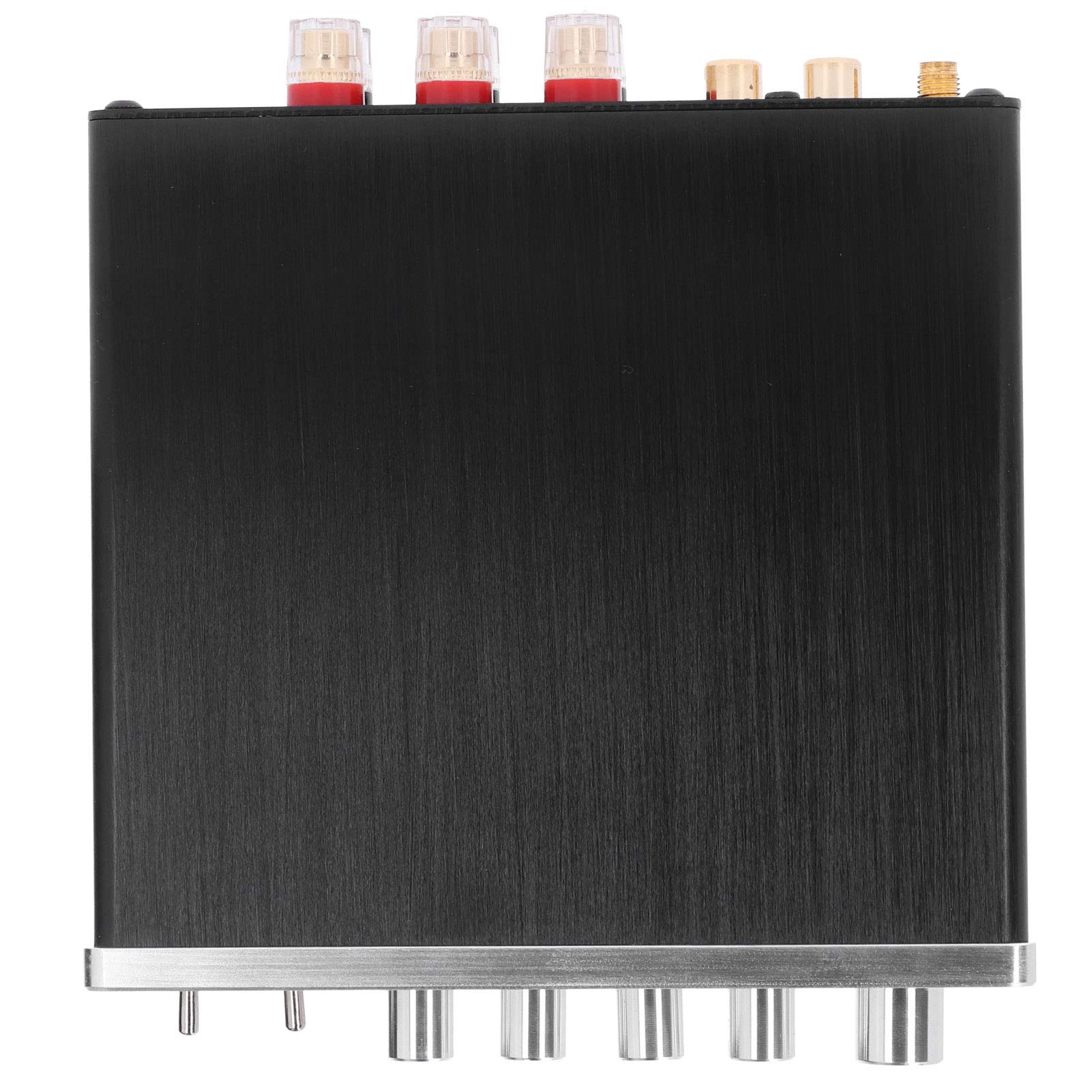 Wzmacniacz Cyfrowy 100 W DC12V24V Hi Fi Stereo Audio Wzmacniacz Dużej Mocy do Domowych Profesjonalnych Akcesoriów