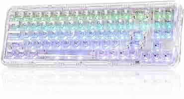 DYUNZII X71 メカニカルキーボード YUNZII X71 Transparent Wireless Gasket Mechanical Keyboard
