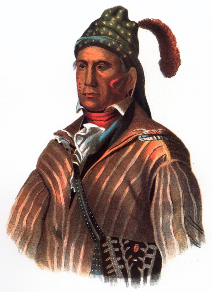 Amazon.co.jp: Menawa(メナワ) (C1766-1837) ネイティブ