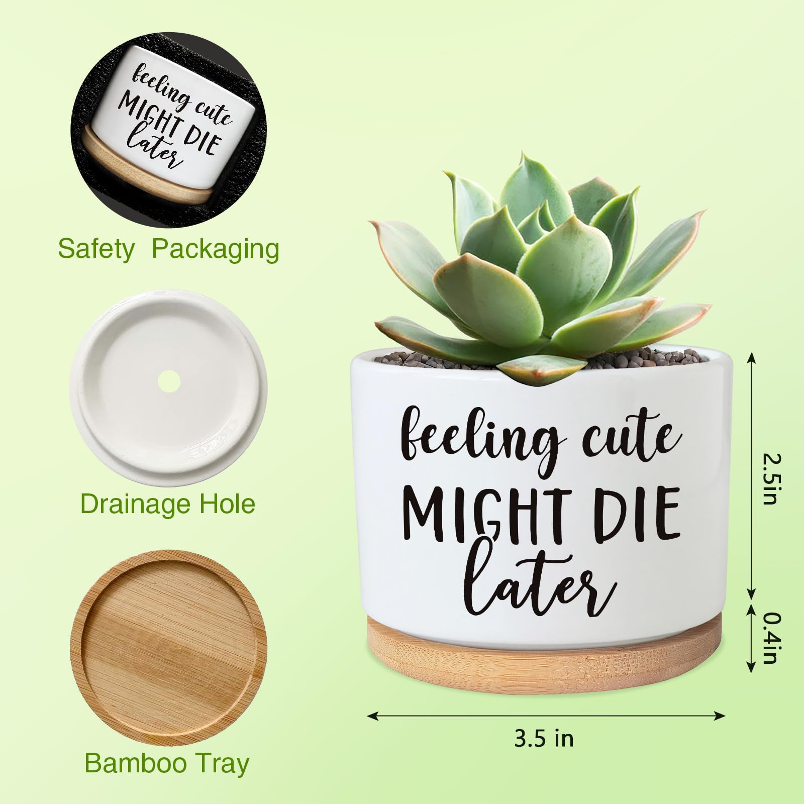 PZJIEAN Divertidas macetas suculentas, bonita maceta pequeña de cerámica de 3.5 pulgadas con drenaje, divertida maceta para cactus suculentas, regalos inspiradores de agradecimiento para los amantes