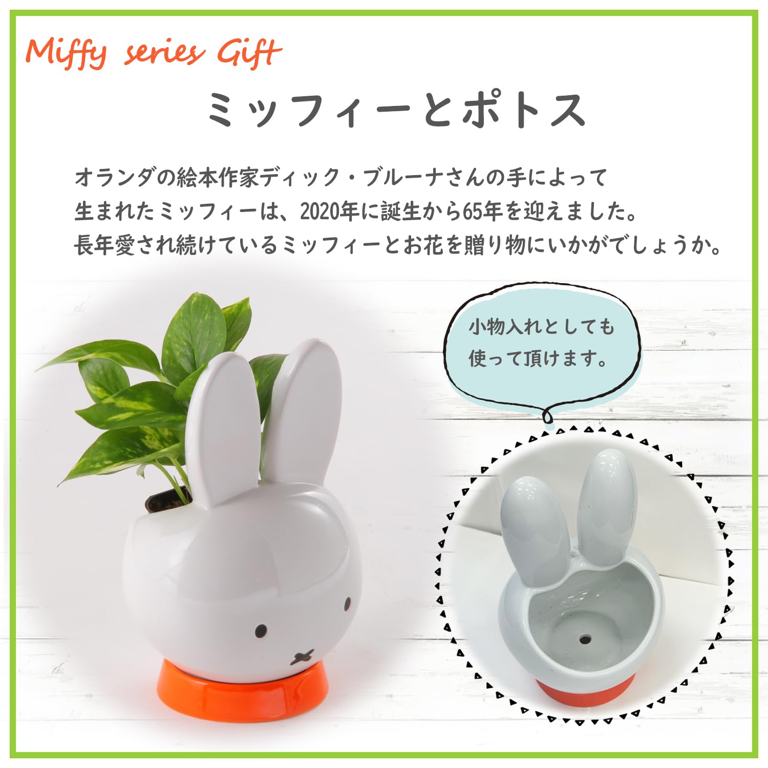 Amazon｜花のギフト社 ミッフィー ポトス 誕生日 観葉植物 鉢植え