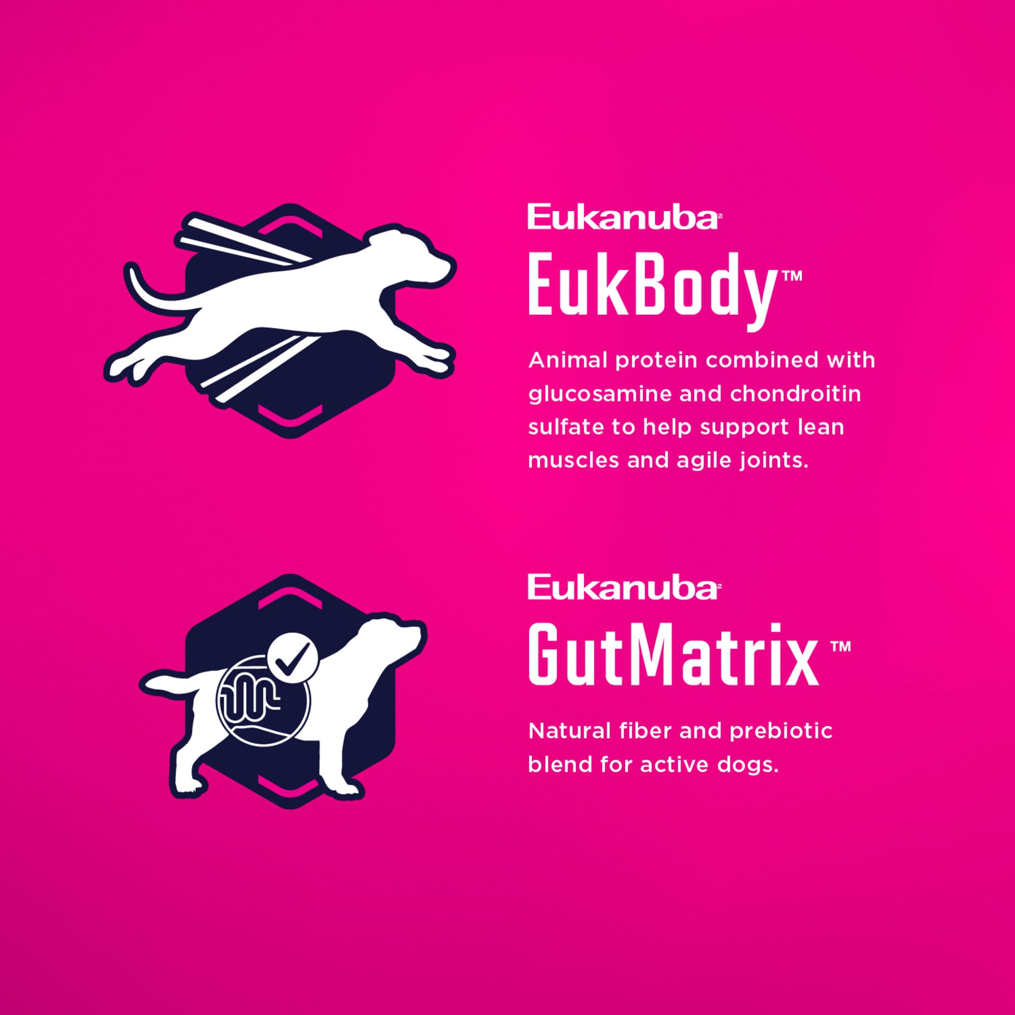 Eukanuba Adult seco Perro Alimentos