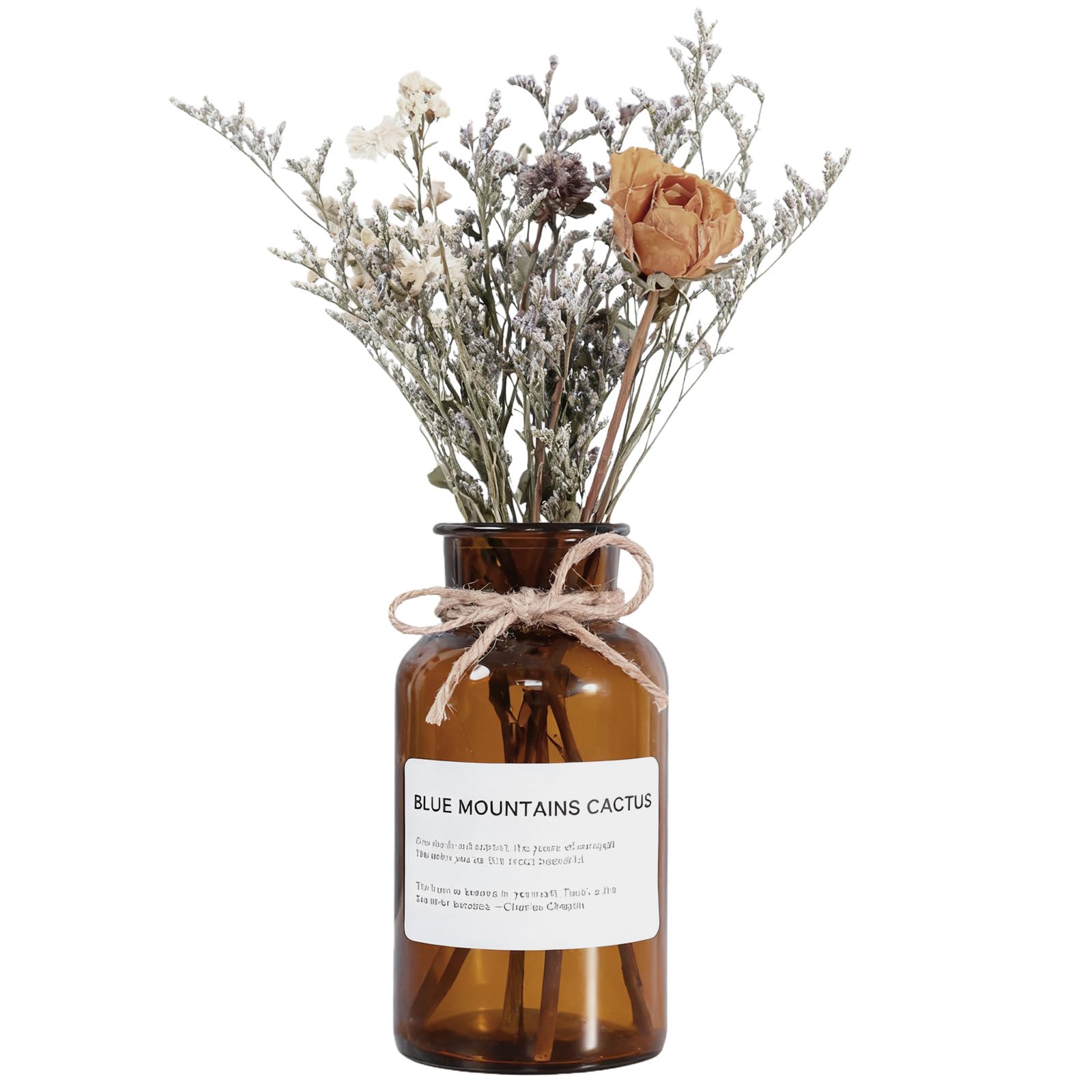 Ericotry Amber 500Ml/16.7Oz Decorative Glass Bottles Vase Bud Vases Apothecary Jars Vintage Glass Flower Vases With Creative Rope Design For Home Decor