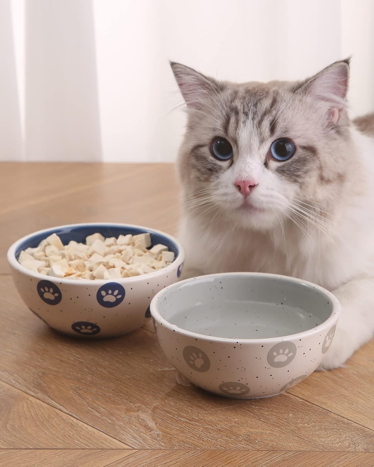 ARRADEN Cat Food and Water Bowl Set, 2pcs Ceramic Cat Bowl, 8 OZ Large Cat Bowls, Whisker Friendly Cat Food Bowls for Indoor Cats,…