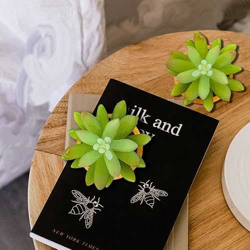 Vista 3 de VANGOLD Paquete de 2 suculentas artificiales Bring Nature Indoor en macetas doradas de moda, perfectas para decoración del hogar, oficina y eventos