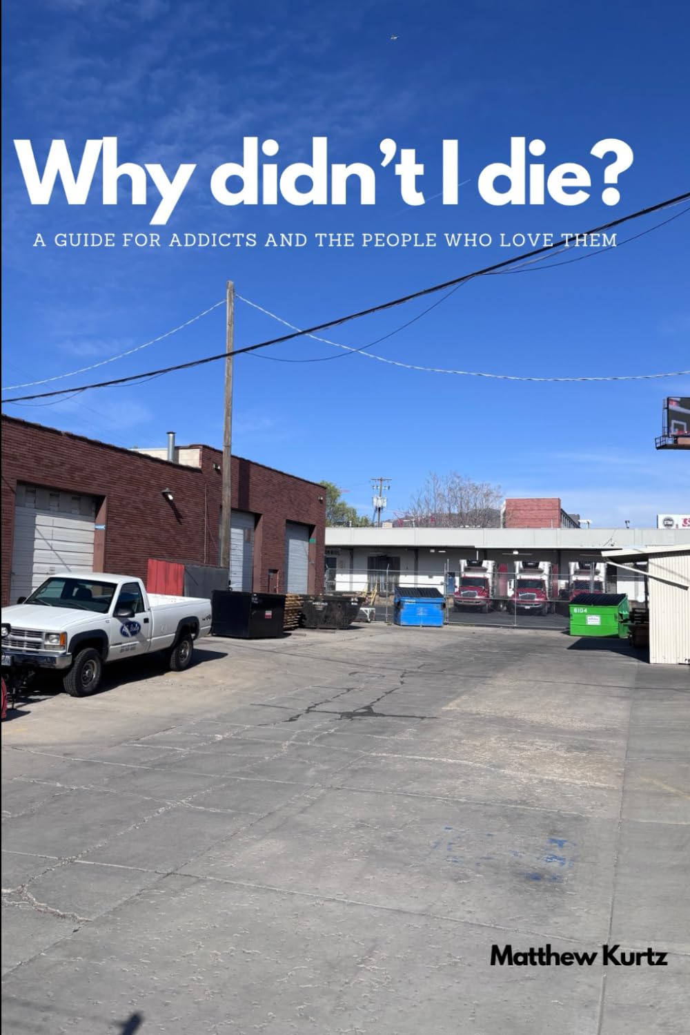 Why didn’t I die? A guide for addicts and the people who love them.