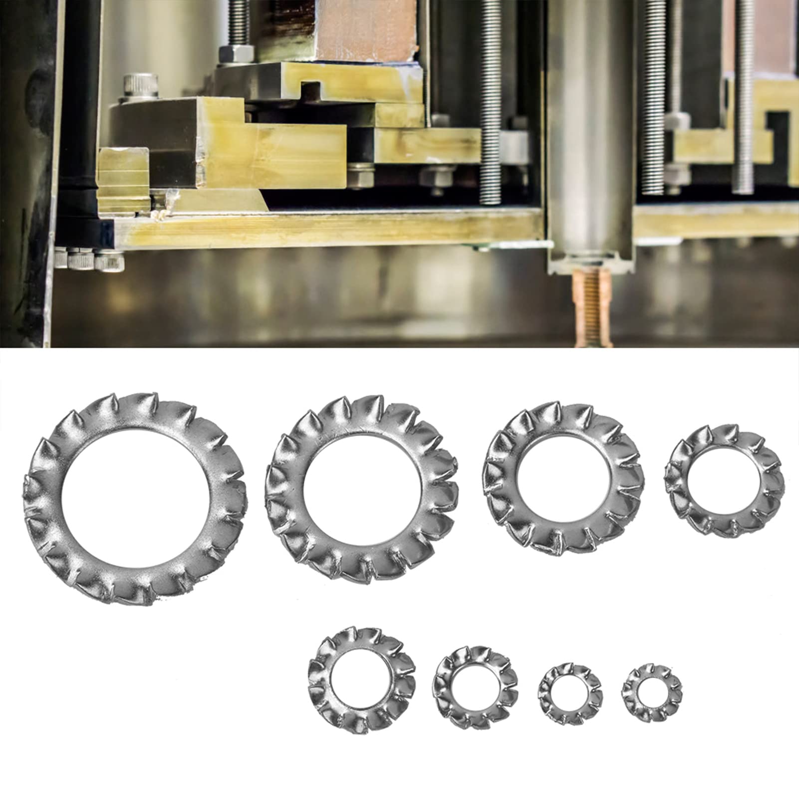 QANYEGN 300 Pcs Serrated Lock Washer, 304 Stainless Steel Anti Loose External Serrated Gasket, External Tooth Lock Washers Assortment Kit