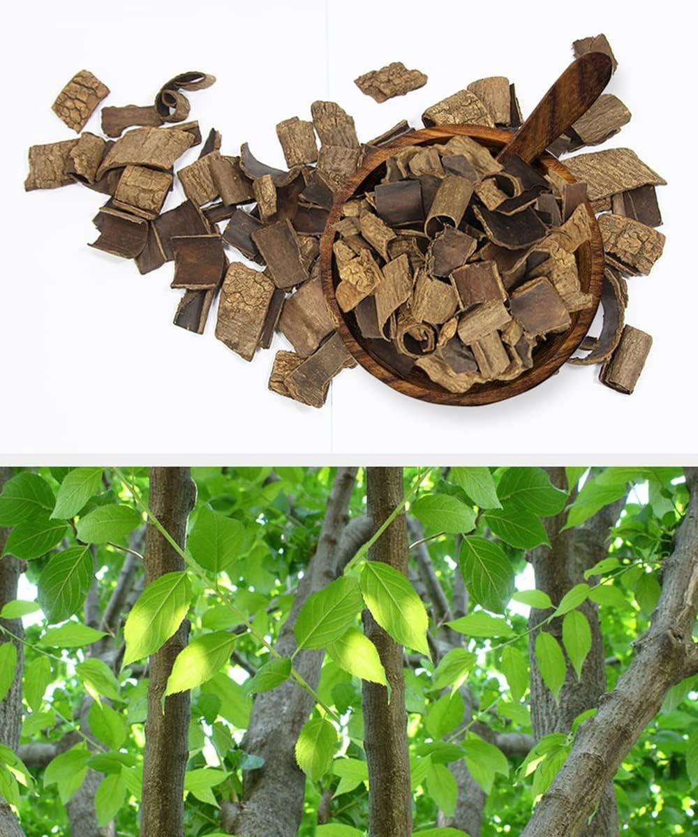 Organic Natural Pure Roasted Eucommia Bark Extract Herbal Pills - Concentrated 10.58 Ounce (300g) - Image 4