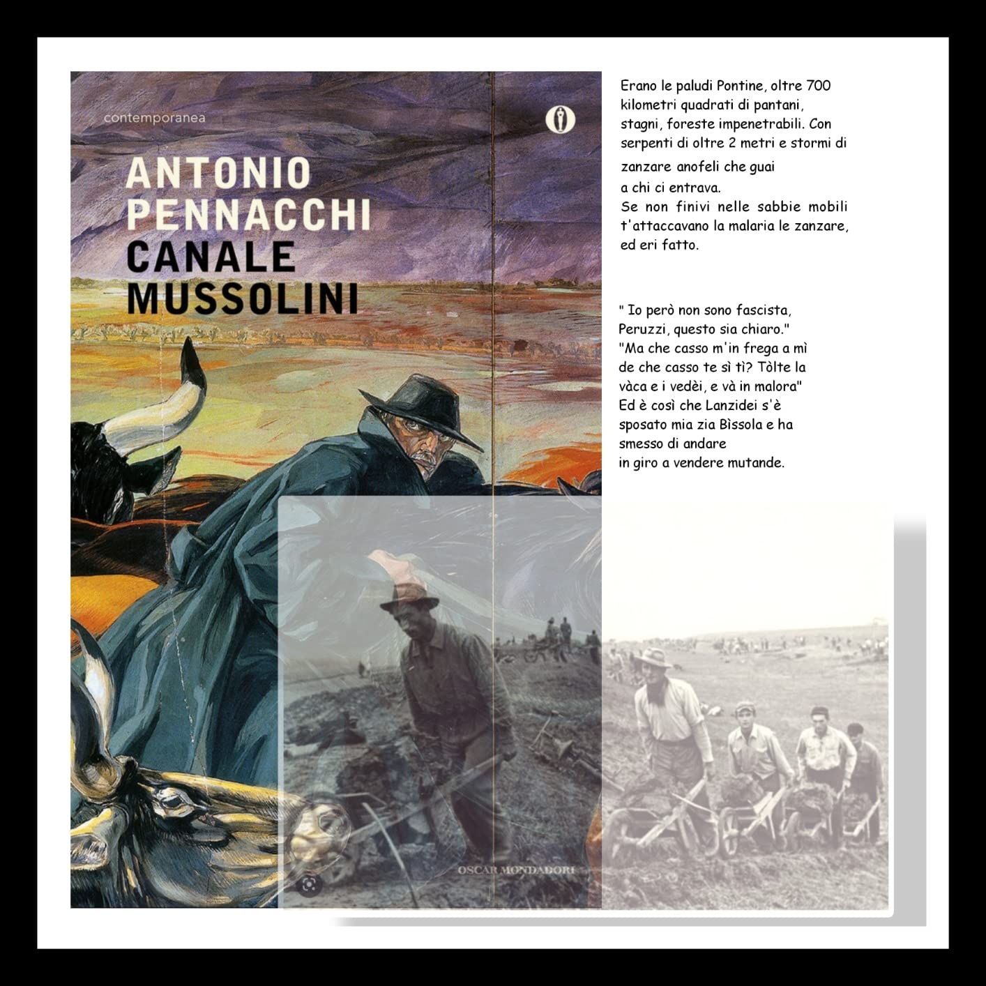 Lettura a tratti divertente ed istruttiva