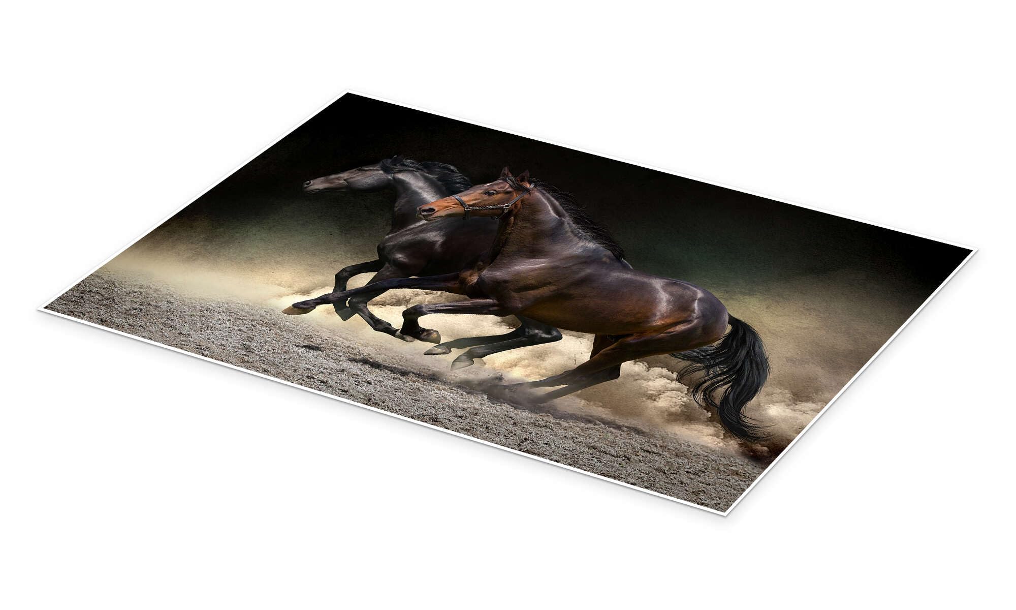 Mustang gallop Plakat