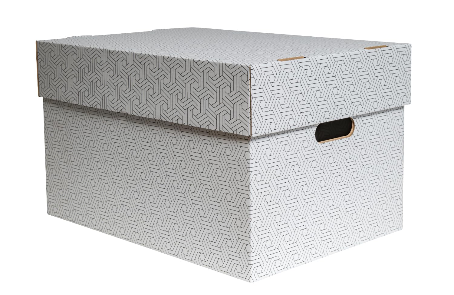 karton-billiger | Aufbewahrungsbox mit Deckel Archivbox Geschenkbox (9Stück, XL - 50x35x30,5cm)