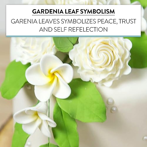 Miniatura 6 de Global Sugar Art Spray verde claro de 5 hojas para pastel de azúcar, 4 unidades por Chef Alan Tetreault