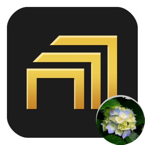 Terri Kellerman Mobile MLS - //medicalbooks.filipinodoctors.org