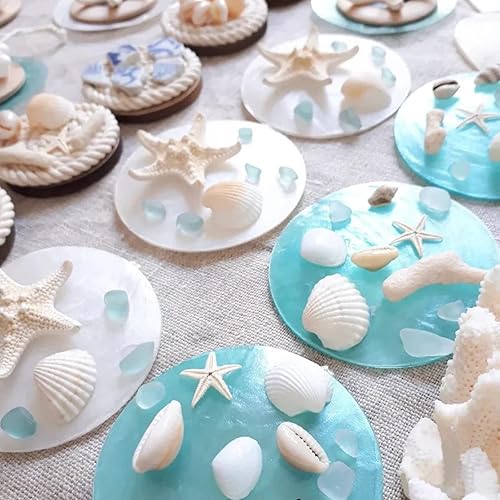 Miniatura 6 de Estrellas de mar y conchas de vieira para manualidades, 12 unidades, conchas marinas grandes de 3 a 4 pulgadas, conchas marinas a granel para