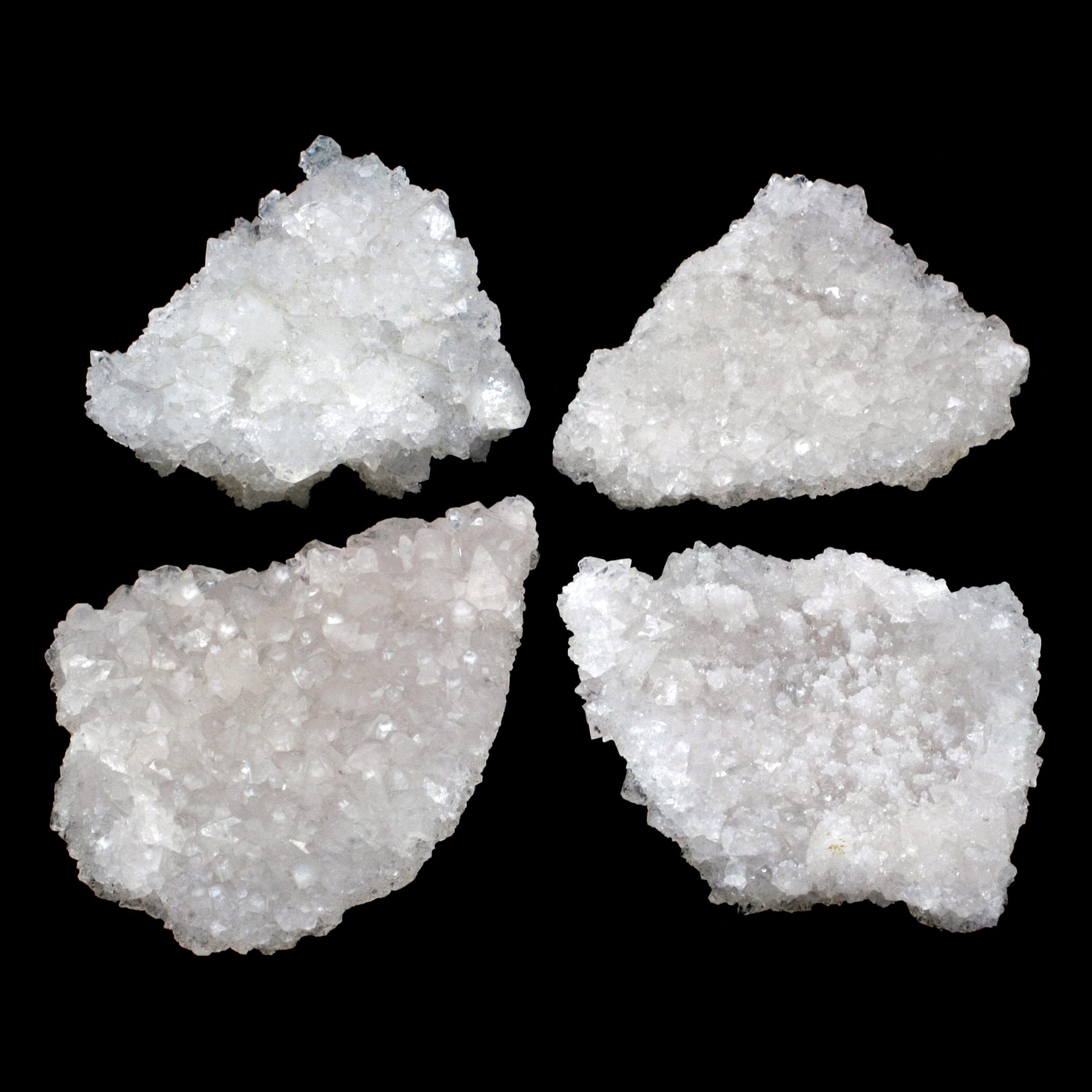 TAXIBUGS Real Exotic Poisonous Scorpion – Preserved Taxidermy Insect Bug Collection Framed in a 3D Wooden Frame as Pictured Taxidermy (Black Wooden Box V2)