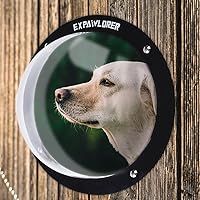 Algopix Similar Product 11 - EXPAWLORER Dog Fence Window  Clear