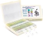 100 Prepared Microscope Slides with Specimens for Kids Adults - Bacterium, Fungus, Human Tissues, Mitosis, Plants, Insects, Animals Cells Samples for Biological Science Lab, School Students