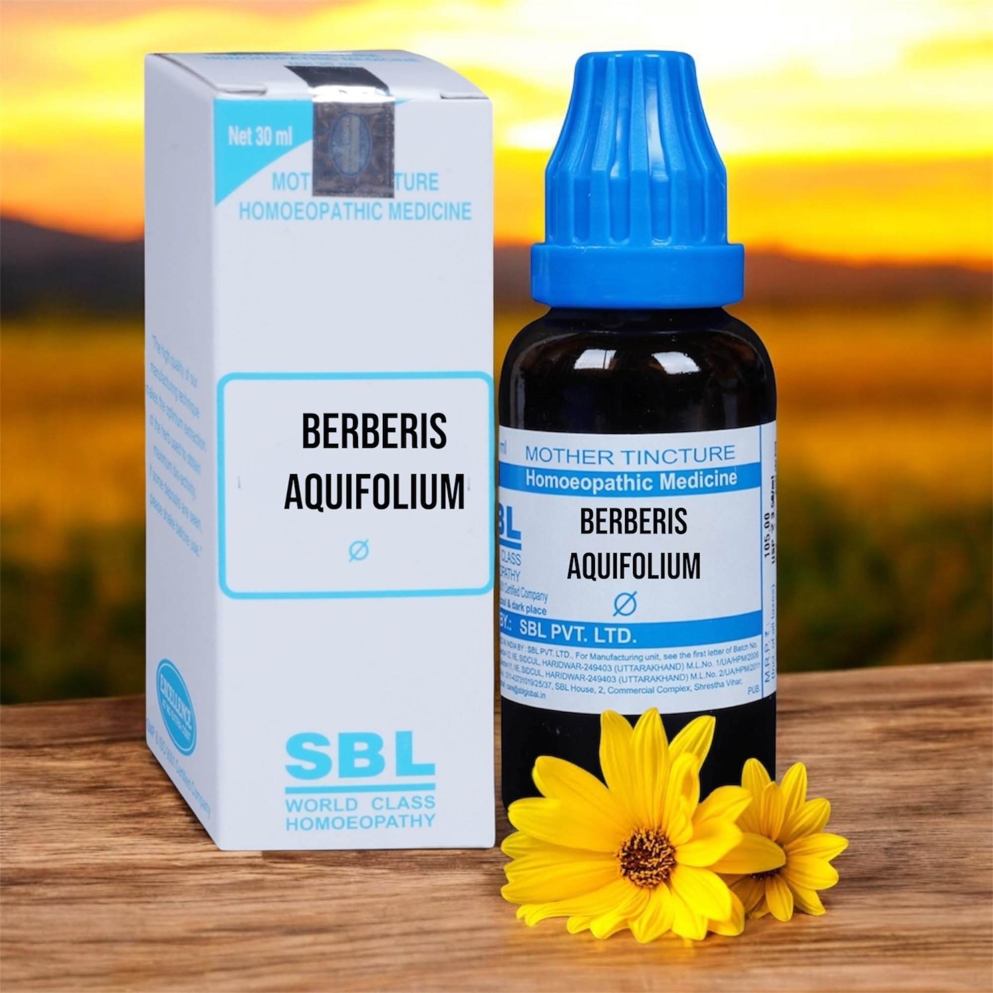 SBL Berberis Aquifolium Q Mother Tincture (30ml) - Set of 1 Bottles