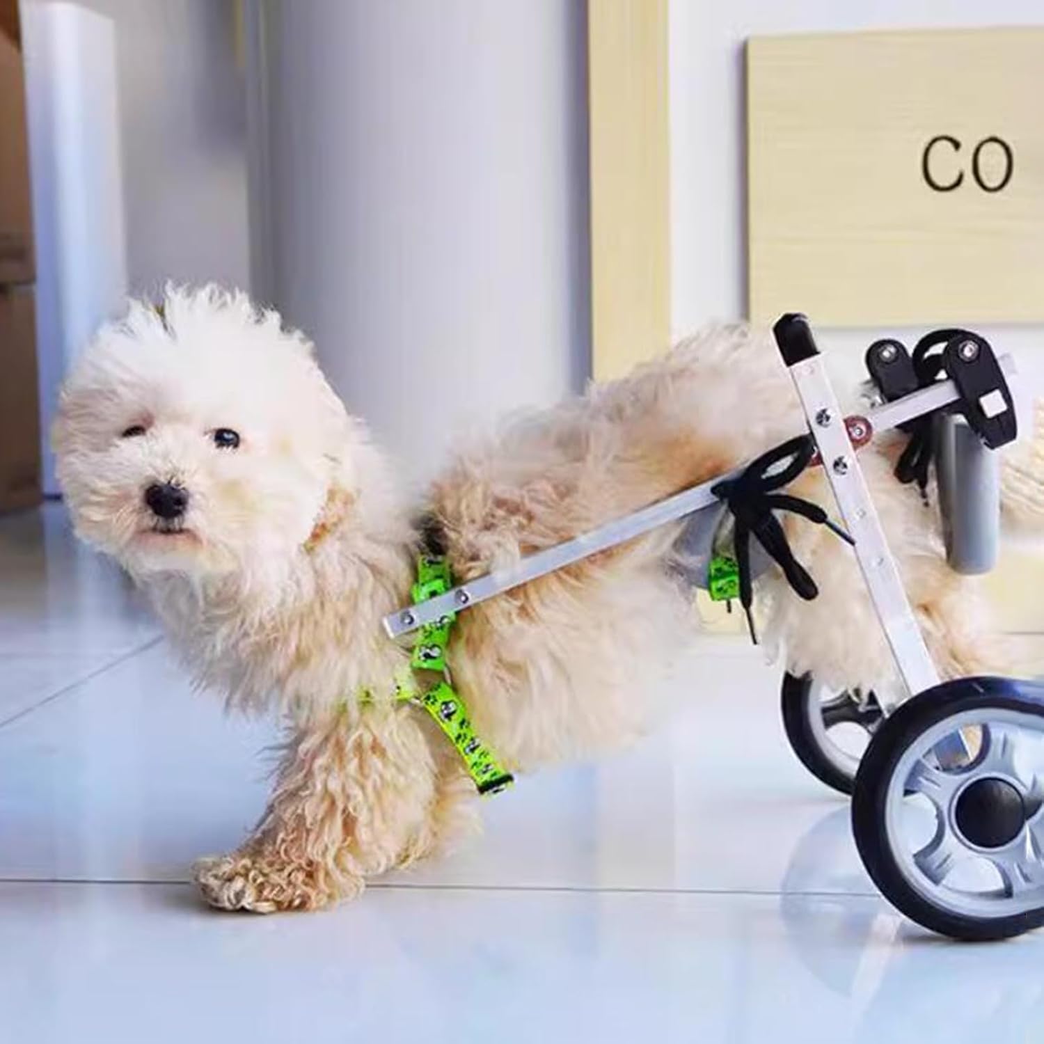 Dog Wheelchair for Disabled Dogs/Cats - X-Large 2-Wheel Mobility Aid, Rear Leg Support Cart for Animal Rehabilitation & Exercise, Adjustable Pet Wheel Chair