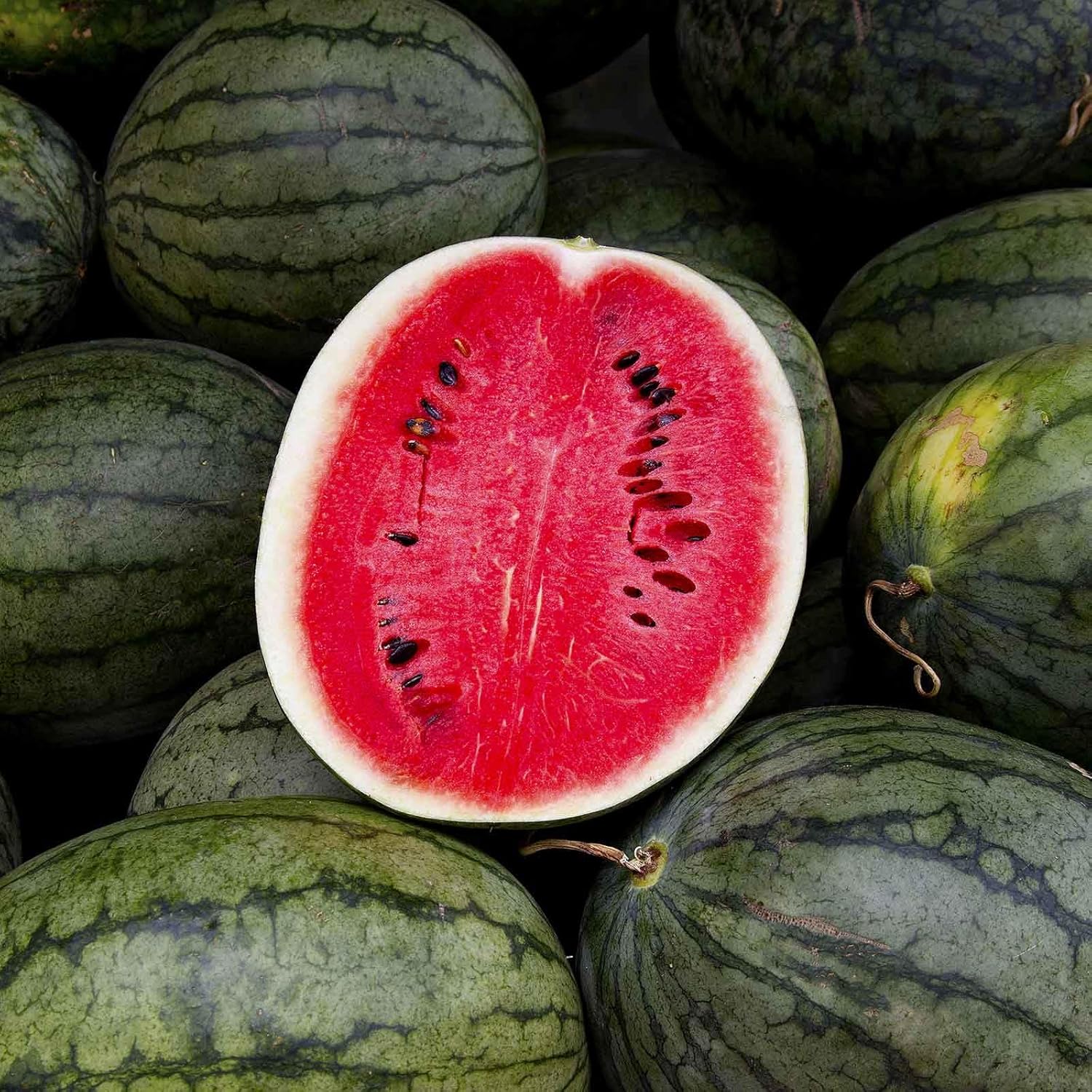 Eden Brothers Watermelon Seeds - Non-GMO Seeds for Planting, Multiple Varieties Available | Low-Maintenance Vegetable Seeds