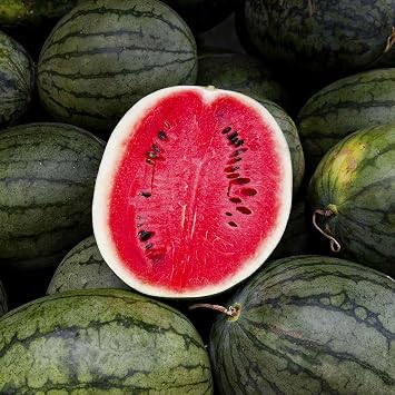 Eden Brothers Watermelon Seeds - Non-GMO Seeds for Planting, Multiple Varieties Available | Low-Maintenance Vegetable Seeds