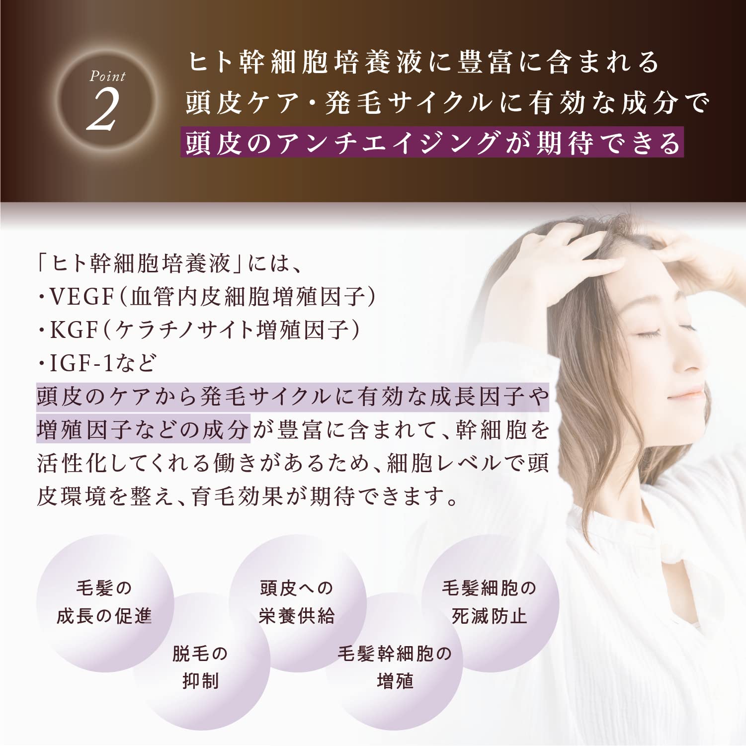 Amazon | Kyogoku シグネチャーシャンプー ヒト幹細胞美容液配合 天然
