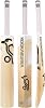 Kookaburra Ghost 3.1 Cricket Bat, Short Handle, White