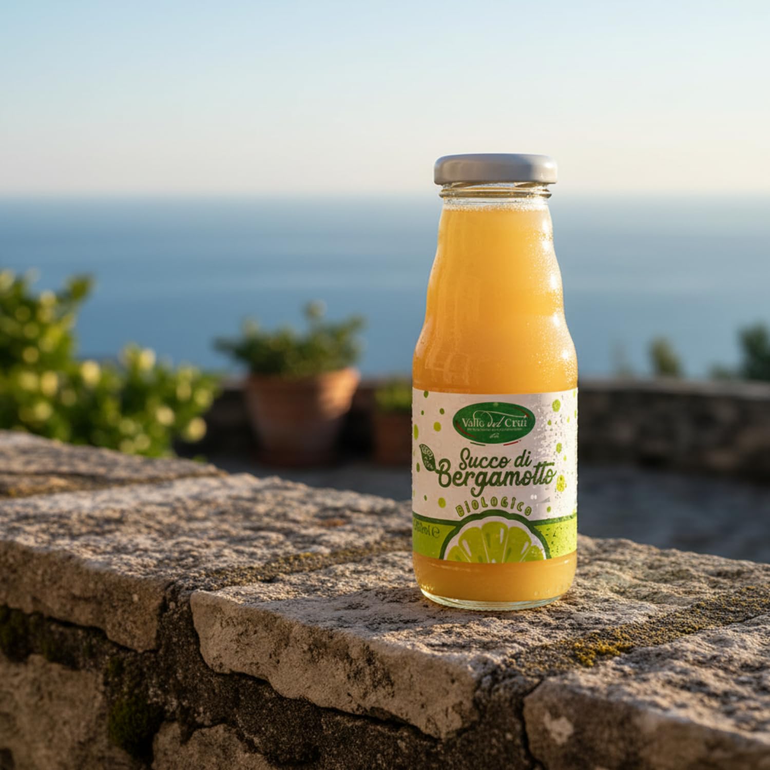 Valle del Crati Succo di Bergamotto BIO Calabrese | 100% Puro | 12 bottiglie da 200ml | senza Zuccheri Aggiunti e senza Conservanti | Bevanda Fresca e Dissetante | Spremuta di Bergamotto Biologico