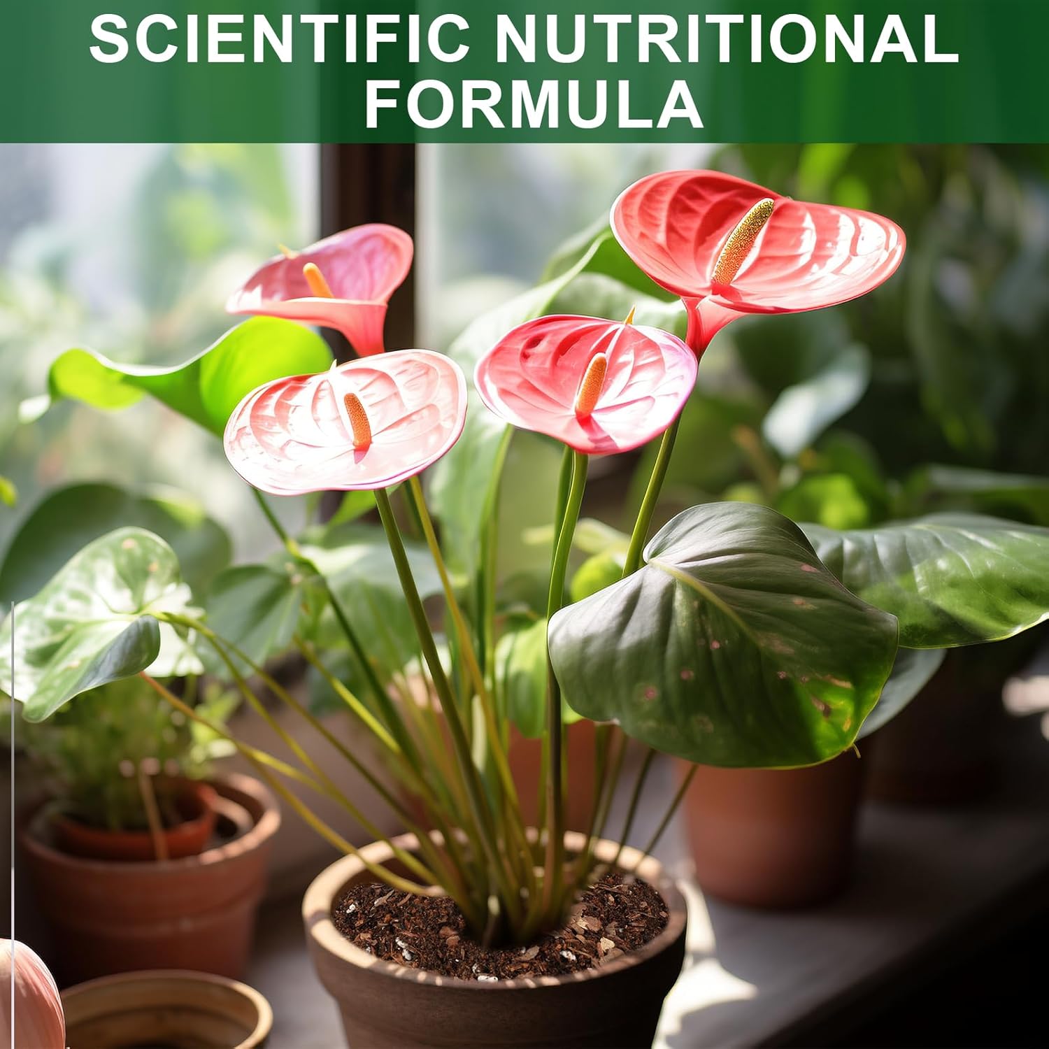Doter All-Natural Potting Soil for Anthurium & Indoor Plants 10qt - Enhanced Drainage, No Additives | Premium Indoor Plant Soil Mix