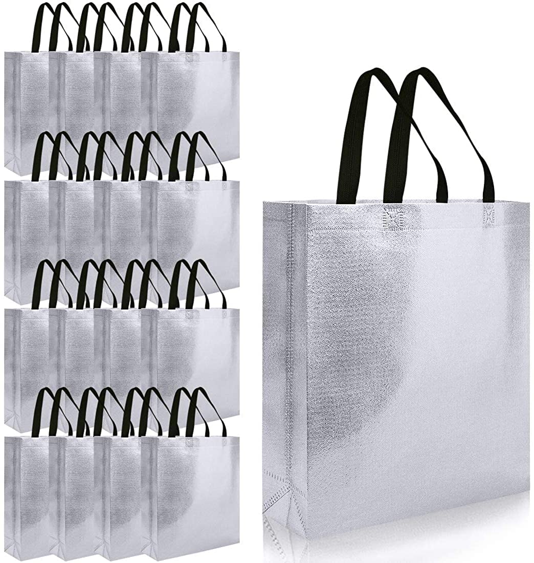Lavya Medium Size Pack of 10 Pcs Glossy Metallic Laminated Non-Woven Reusable Eco-Friendly Party Return Gift Bags (Silver) (Medium 12x13x4 Inch)